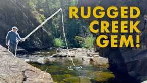 A Creek That Dreams Are Made Of! (Tenkara Fly Fishing)