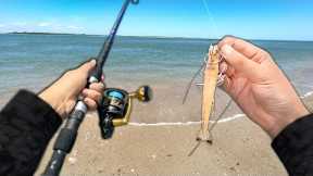 It took me YEARS to Catch this FISH! (Catch and Cook)