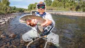 Fishing Small Stream Packed with Big Rainbow Trout! NEW PB!
