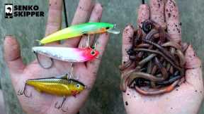 Pier Fishing: Which works better? Lures VS Live bait