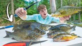 TASTY INVASIVES! Catch & Cook UNWANTED Fish Species
