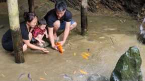 Changing fish pond water | catch fish to cook with the family - Chúc Tòn Bình