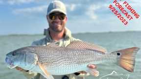 Mossy Creek Fly Fishing Forecast 9/25/2023