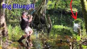 Fishing the bottom of a river for BIG BLUEGILL!! (Catch and Cook)!!