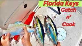 Black Fin Tuna and Mangrove Snapper Catch n Cook!