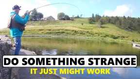 196. One Way to Fly Fish Buzzers & Catch Trout