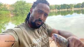 Hesperia Lake Fishing | Hesperia Lake Catfish Bite | Best Rig for Hesperia Lake Catfish - Freeline
