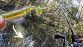 fishing a little creek FULL OF FISH! landbased fishing w FROFFBAITS 2.75”🔥