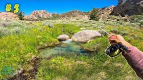 FINDING THE RAREST TROUT ON EARTH! (Fly Fishing) || California Gold Pt 5 (Paiute Cutthroat)