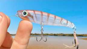 Micro Top Water Lure Fishing