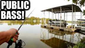 Fishing From Shore at a Public Park! Fall Bass Fishing Lures That Work