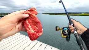 Using STEAK as Bait.. Does it Work?? (Catch and Cook)
