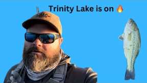 Second Day Fishing Trinity Lake and It Was on Fire