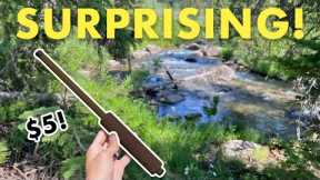 Is This Unique $5 AliExpress Rod Any Good?? (Tenkara Fly Fishing)