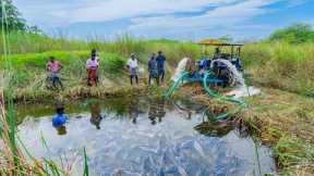 Pond Water Fish Catching and Cooking Fish Gravy in our Village | country fish curry