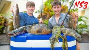 Catching Invasive Canal Critters For an Urban Catch n Cook  (Never Stop 3)