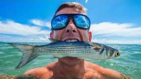 World's Most EPIC Bait Migration...Florida Mullet Run- Catch Clean Cook