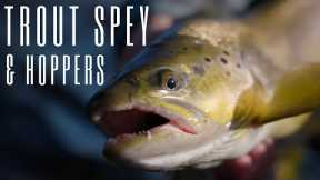 Summertime Trout Spey and Hopper Fishing in Montana