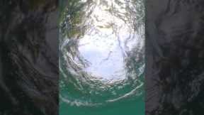 What your bait sees when fishing!
