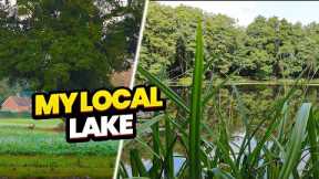 Carp Fishing A Small Local Lake