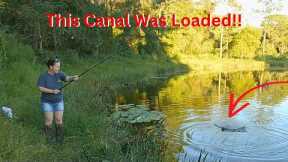 Caught This INVASIVE Fish in An Old Canal Fishing For BLUEGILL!! (Catch and Cook)!!