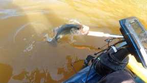 Fall Fishing with Friends  (Lake Hodges)