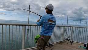 World's BEST Fishing Spot!! (Florida Keys Bridge Fishing)
