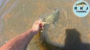Action packed fishing at Barkers Creek Reservoir