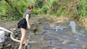 Fishing Videos: Survival Skills, Catch A Lot Of Fish, Bushcraft Survival, OFF GRID LIVING
