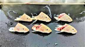 This is WHAT HAPPENS when you use CUT BAIT SURF FISHING ***UNDERWATER VIDEO***