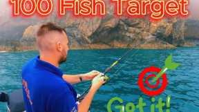 Sea Fishing St Davids | Lure Fishing for Bass & Pollock | Dennett Super Sprat | 100 Fish challenge
