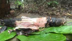 Big Fish Catching and cooking |How To Catch and Burn Big Fish in wild | bushcraft survival