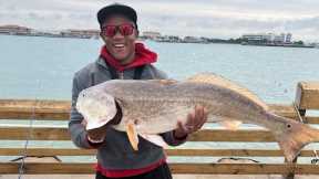 Fishermen Each Crush Their Personal Best Giant Saltwater Fish Records Fishing HERE!!