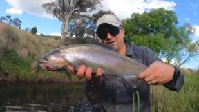 Small creek full of fish