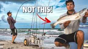 Ultimate Taste Test: Catch and Cook Unseasoned | Search for Most Delicious Fish!