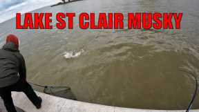 Shore Musky Fishing On Lake St Clair!