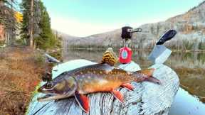 Fishing a HIGH Mountain Lake FILLED with Trout!!! (Catch & Cook)