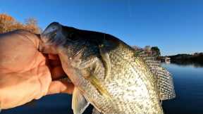 Live Bait Pour To Catch/Great Clear Water Color