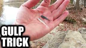 Fishing With HALF of a GULP Minnow (Creek Fishing Trick to Catch Fish)