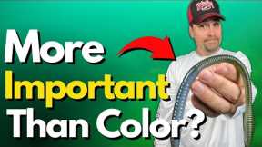 I've Started Thinking About Lure Color Like This