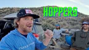 October Hoppers