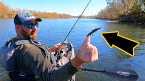 this LITTLE lure made a HUGE difference...