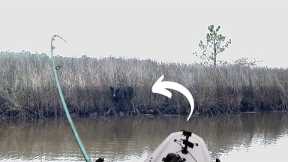 This WILD HOG Came Out Of Nowhere While I Was Catching Fish In My New Boat!