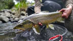Fly Fishing/Camping Trip Fail.