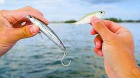 I Did Not Expect This... Fishing Live Bait & Lures