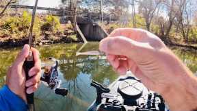 3 Hours of RAW and UNCUT Ultralight Fishing with Gulp Minnows | Melton Hill Lake