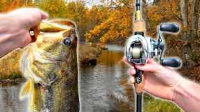 Fishing An Alligator INFESTED Lake For GIANT Fall Bass (Crazy Catch)