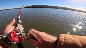 The Bite is On!  Going After Monsters at Fishing Creek Lake!