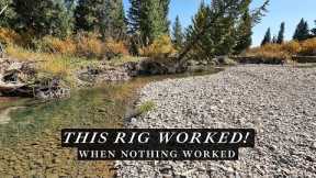 This Fly Fishing RIG is super EFFECTIVE...unexpected results in tough conditions!