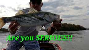 FALL FISHING!! ( Not what I was expecting) on OLD Hickory Lake!! #diawa  #pulsefishlures